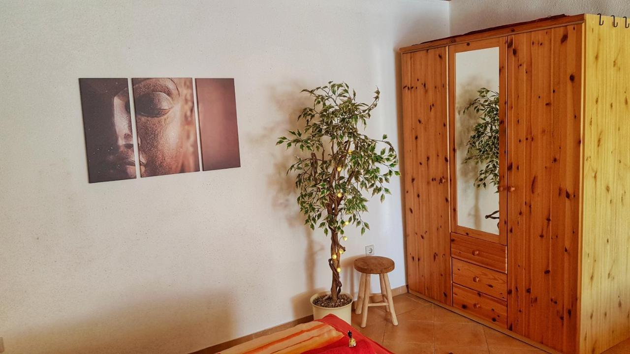 Triftanfang Ferienwohnungen Heringsdorf  Esterno foto